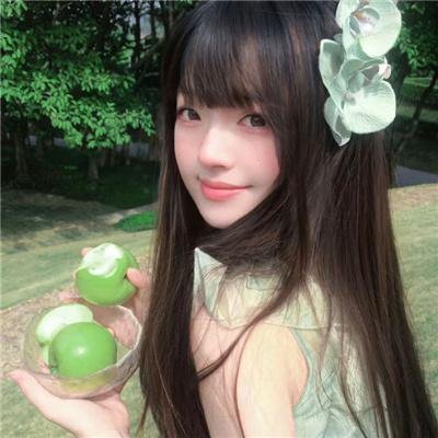 飞向蓝天
